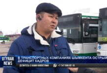 В Шымкенте не хватает водителей маршрутных автобусов