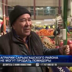 Аграрии Сарыагашского района не могут продать помидоры