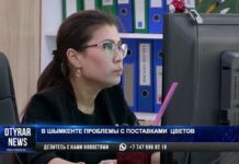 В чем причина дефицита цветов в Шымкенте