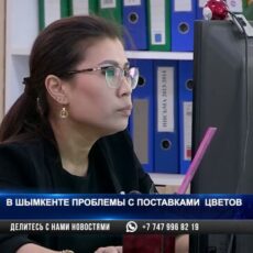 В чем причина дефицита цветов в Шымкенте