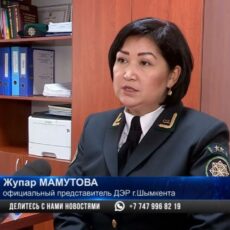 Куда звонить, если стал жертвой финансовой пирамиды?