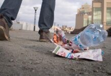 Почти 300 шымкентцев наказали за выброс мусора