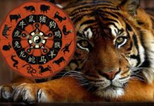 Восточный гороскоп на весь год