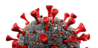 Коронавирус в Казахстане: за сутки выявили 566 зараженных коронавирус