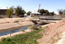 Острая нехватка поливной воды ожидается в Шымкенте