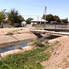 Острая нехватка поливной воды ожидается в Шымкенте