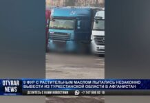 Контрабанду на 97 млн пытались вывезти из Туркестанской области