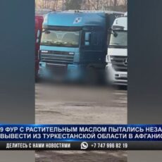 Контрабанду на 97 млн пытались вывезти из Туркестанской области