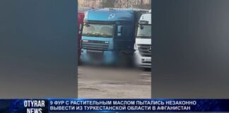 Контрабанду на 97 млн пытались вывезти из Туркестанской области