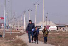 97,6 % населения Шымкента обеспечат электроэнергией