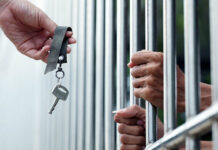 86 осужденных в Шымкенте попали под амнистию тюрьма