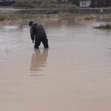 Сильный дождь затопил десятки микрорайонов в Шымкенте