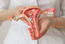 Бесплатные УЗИ и консультация онкогинеколога в Шымкенте