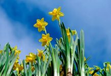 Будет апрель! Вы уверены?