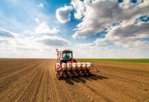 Посевные площади увеличат в Шымкенте