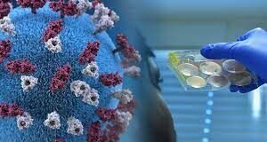 Два человека скончались от КВИ за сутки