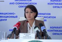 Кто может получать юридическую консультацию бесплатно?