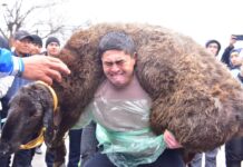 В Шымкенте стартовали мероприятия, посвященные Наурызу