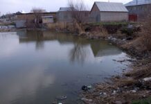 Жители Кызылжара пожаловались депутату на соседство с мусорной свалкой