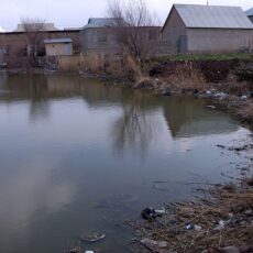 Жители Кызылжара пожаловались депутату на соседство с мусорной свалкой