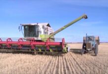 Отдать деньги утильсбора на поддержку аграриев предложили сенаторы