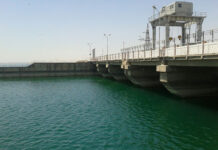 10 человек напали на егеря на Шардаринском водохранилище