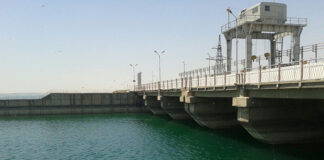 10 человек напали на егеря на Шардаринском водохранилище