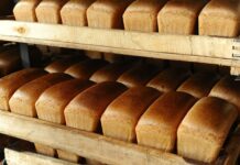 Бесплатный хлеб пенсионерам раздают в Шымкенте