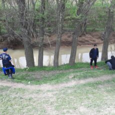 Пропавшую в Шымкенте женщину нашли мертвой