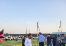 Женщина попала в реанимацию после ДТП на трассе Сарыагаш-Шымкент