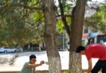 На страже чистоты и порядка