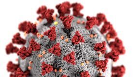 16 случаев КВИ зарегистрировано в Казахстане