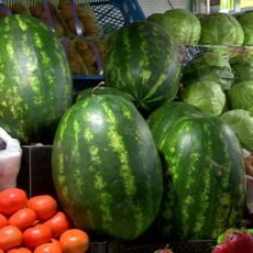 Сколько стоят арбузы и сухофрукты на шымкентских рынках?