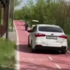 Водителя, разъезжающего по Дендропарку, оштрафовала полиция