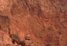 Человеческий череп нашли в поселке Бургулюк