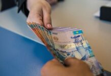 Мошенничество с «субсидиями» раскрыли в Туркестанской области