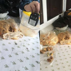 Гашиш в булочках пытались передать в колонию Шымкента