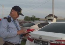 Авто с поддельными номерами и 2млн штрафом задержали в Туркестане