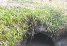 Двухлетний ребенок упал в оросительный канал в Кентау