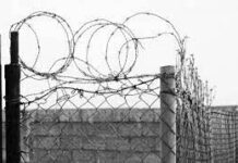 Доставка за решетку. Интернет- магазин открыли в шымкентской колонии