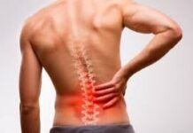 Столб жизни. Практические советы для здоровья позвоночника