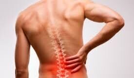 Столб жизни. Практические советы для здоровья позвоночника