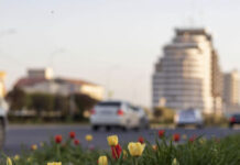 Осадки увеличатся вдвое. Каким будет май?