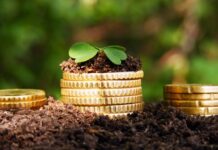 Шымкентские фермеры отказываются платить земельный налог