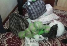 Шымкентца задержали с 22 килограммами наркотиков
