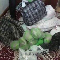 Шымкентца задержали с 22 килограммами наркотиков