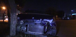 Машина влетела в дерево в Шымкенте