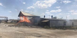 В Шымкенте горела птицефабрика