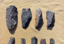 Обнаружено многоэтажное поселение эпохи палеолита