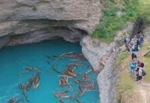 Двое студентов из Индии утонули в каньоне Аксу